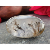 Dendritic Agate Sterling Silver Ring - Size 5.5