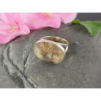 Dendritic Agate Sterling Silver Ring - Size 7